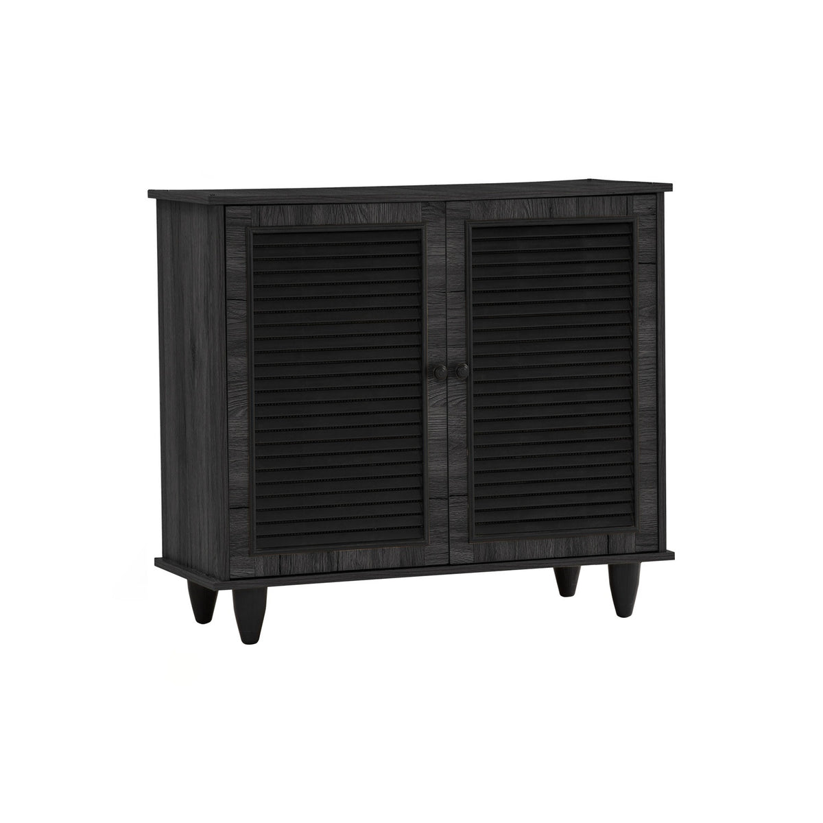 ALMO 2 Door Shoe Cabinet - Black