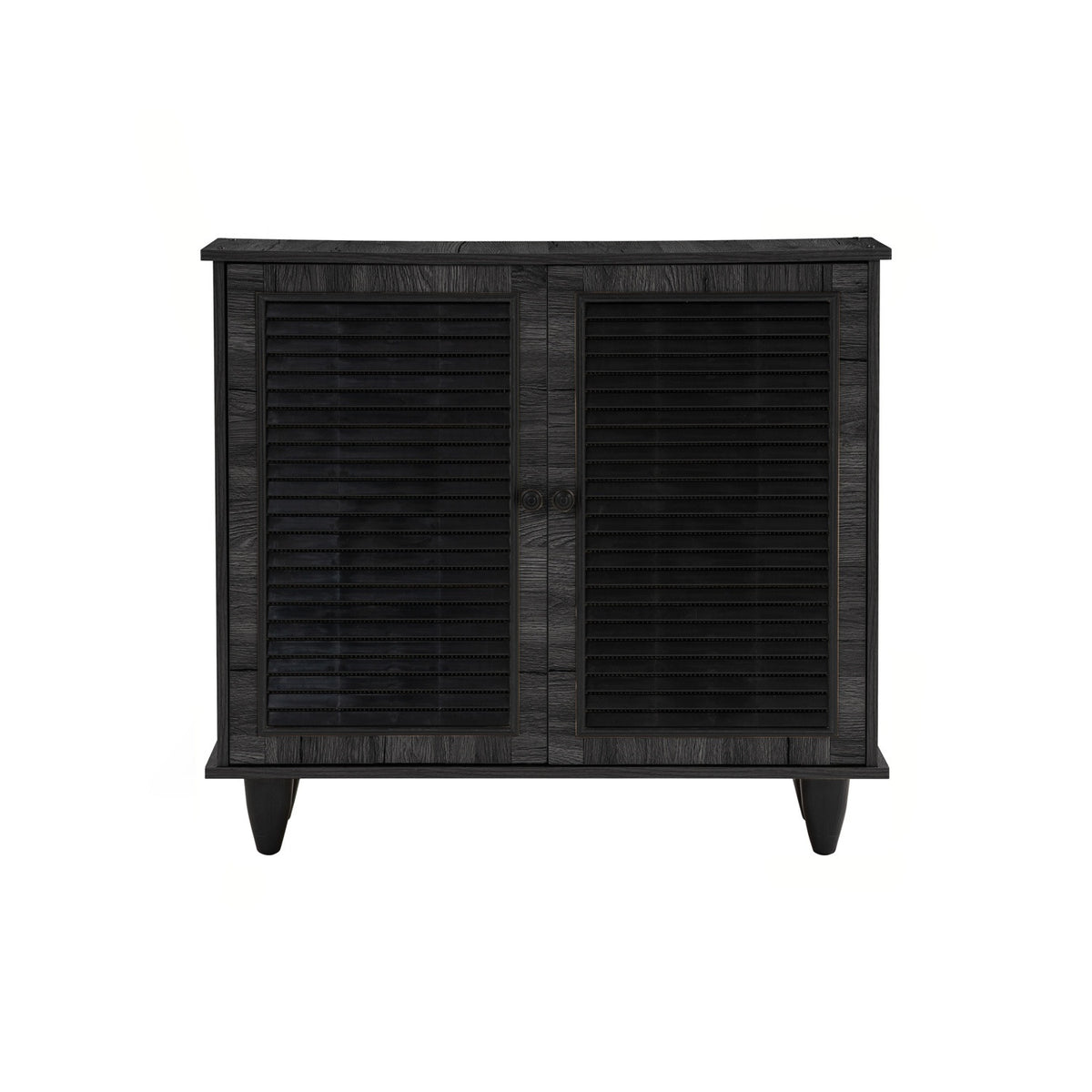 ALMO 2 Door Shoe Cabinet - Black