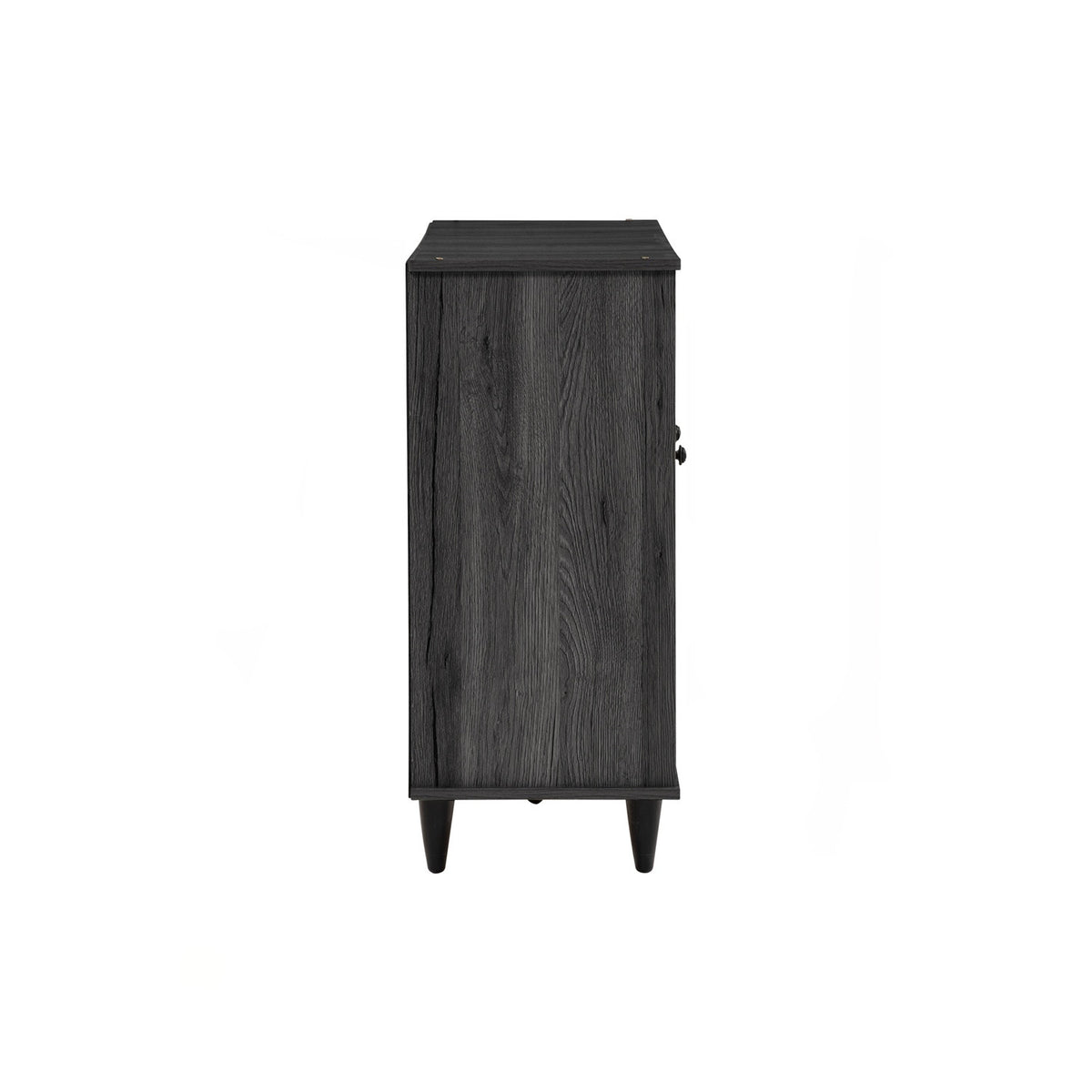 ALMO 3 Door Shoe Cabinet - Black