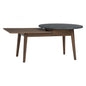 ALORA Coffee Table - Cocoa