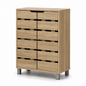 CARLOS 2 Door Shoe Cabinet