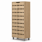 CARLOS 2 Door High Shoe Cabinet