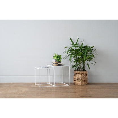 DARNELL NEST 2 in 1 Coffee Table