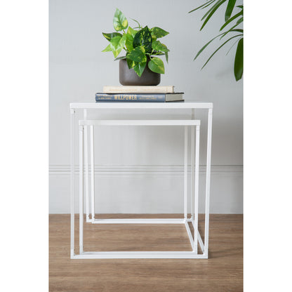 DARNELL NEST 2 in 1 Coffee Table