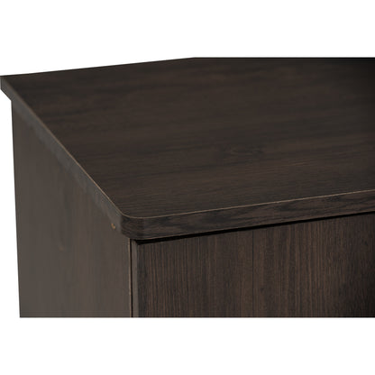 EVERETT 2 Door Shoe Cabinet - Walnut
