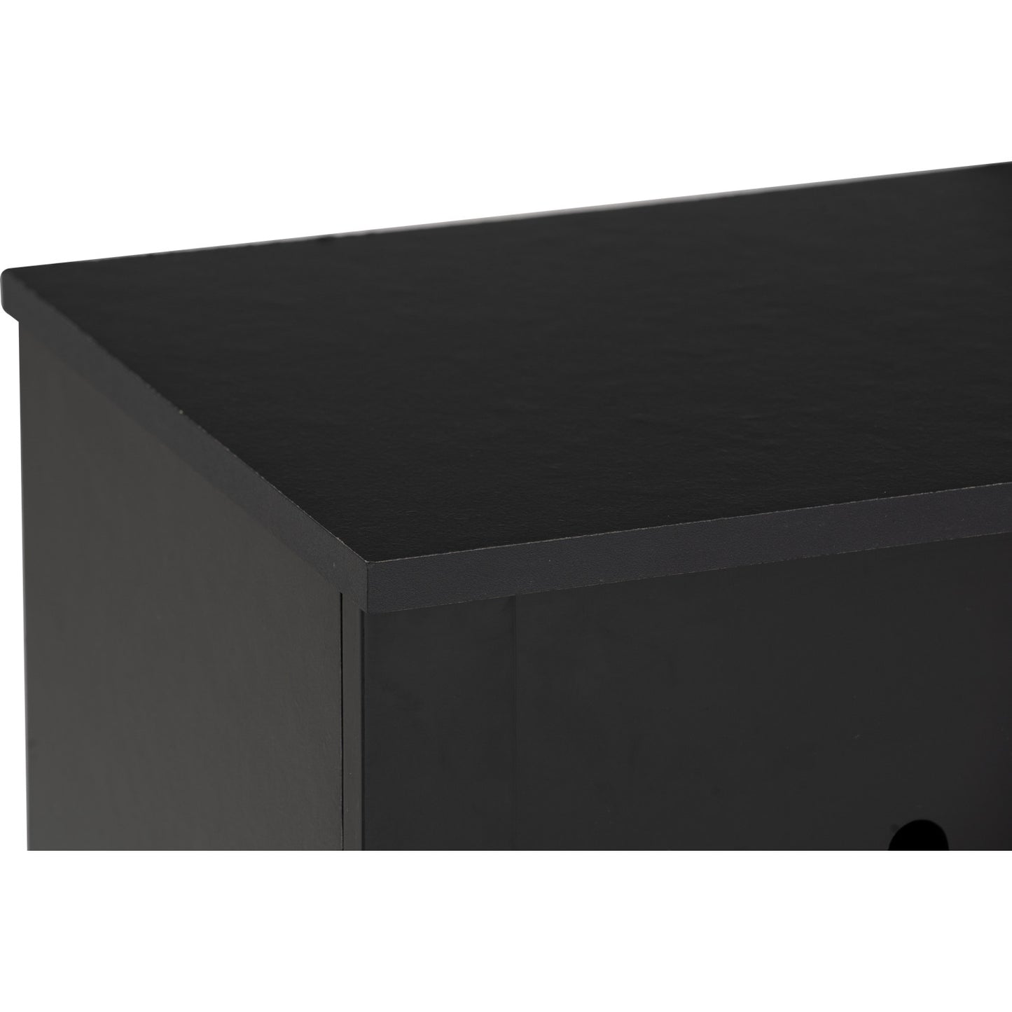 HASTING 2 Door Shoe Cabinet - Black