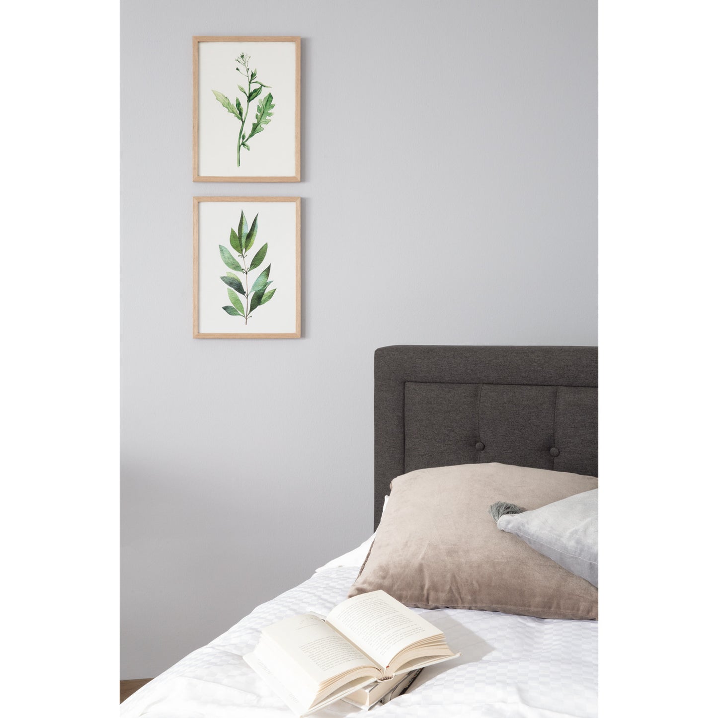 HAYDEN Bedframe - Seal (Queen Size)