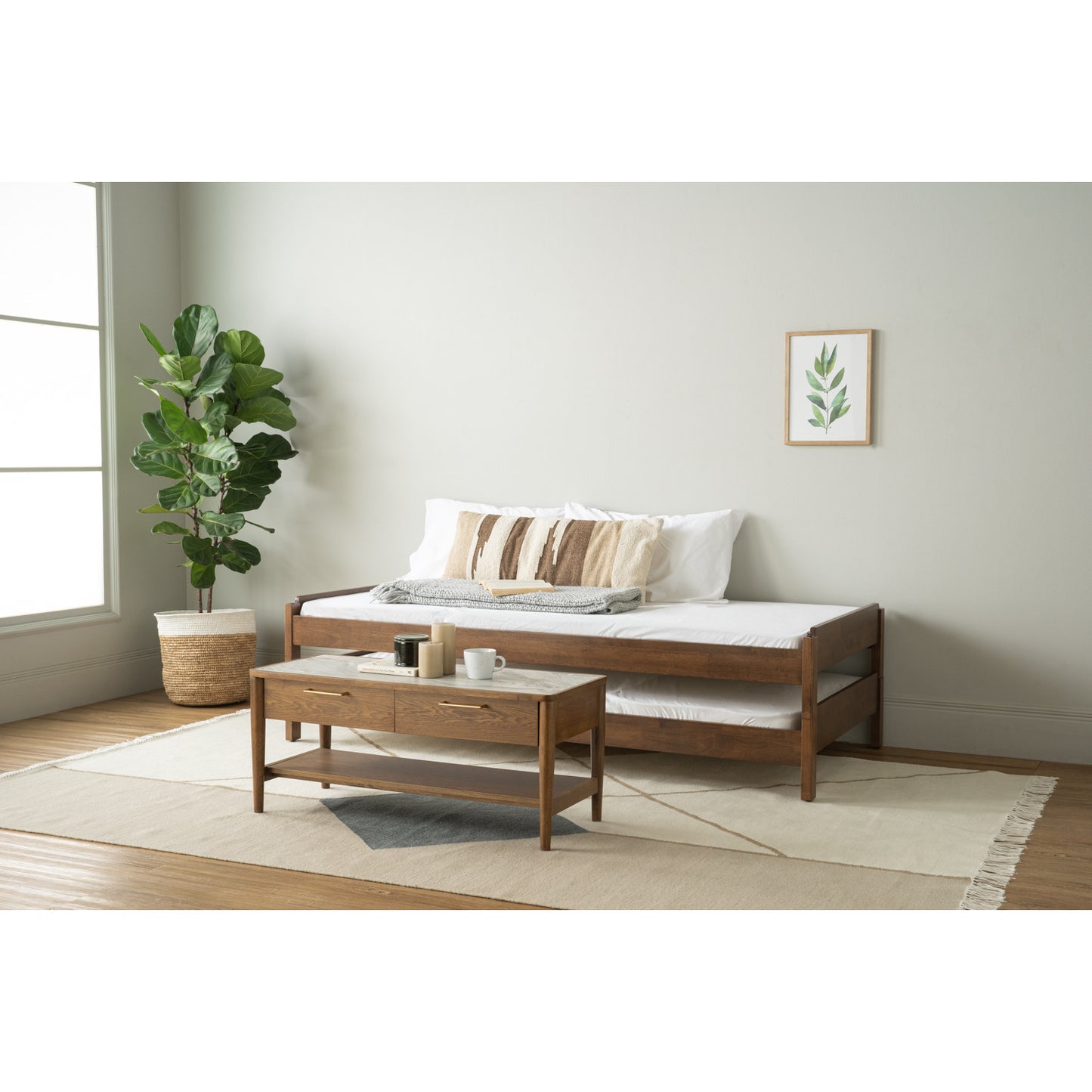 HILO Bedframe - Cocoa (Single Size)