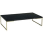 MYRON Rectangular Coffee Table - Silver Colour Leg