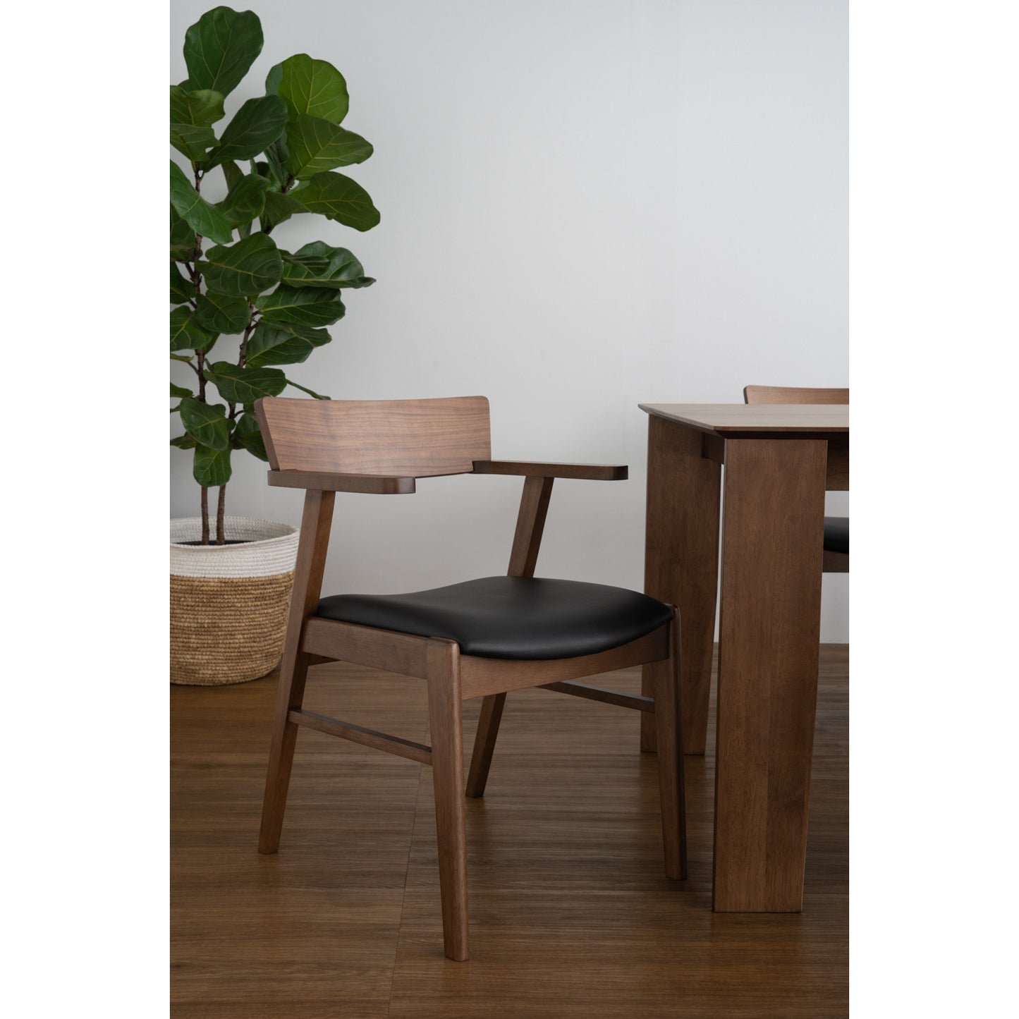 NICO Dining Chair