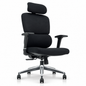 NTT 178-HB DAMYSUS Office Chair