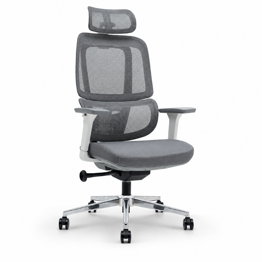 NTT 225 Ergonomic Mech Office Chair