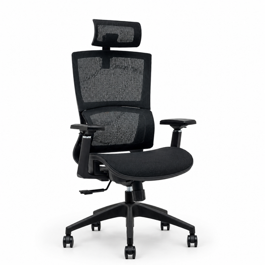 NTT 227(B) Ergonomic Mech Office Chair