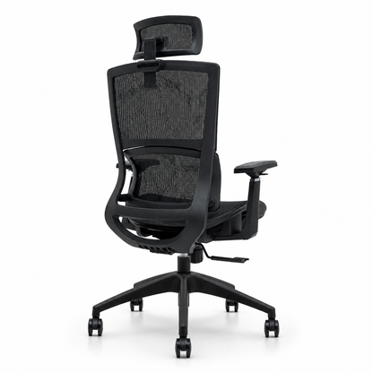 NTT 227(B) Ergonomic Mech Office Chair