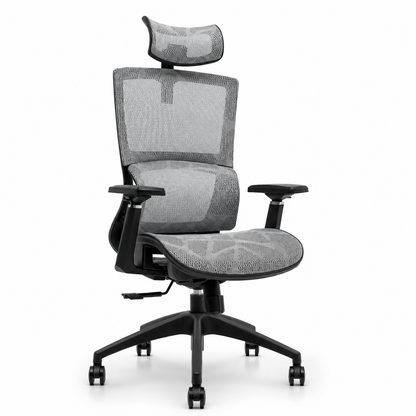 NTT 227(G) Ergonomic Mech Office Chair