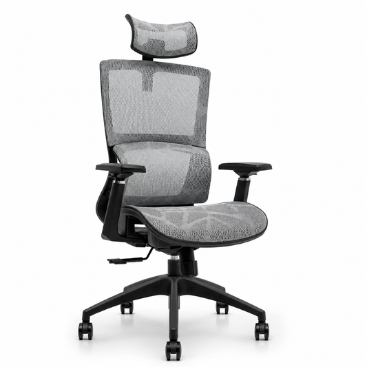 NTT 227(G) Ergonomic Mech Office Chair