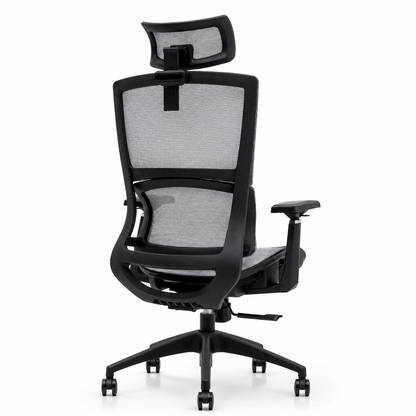 NTT 227(G) Ergonomic Mech Office Chair