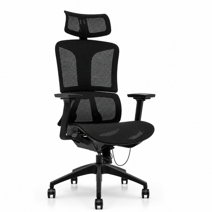 NTT 229(B) Ergonomic Mech Office Chair