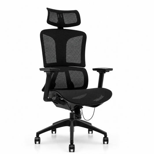 NTT 229(B) Ergonomic Mech Office Chair