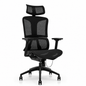 NTT 229(B) Ergonomic Mech Office Chair