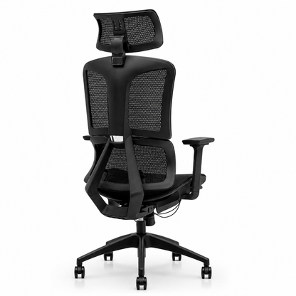 NTT 229(B) Ergonomic Mech Office Chair