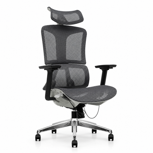 NTT 229(G) Ergonomic Mech Office Chair