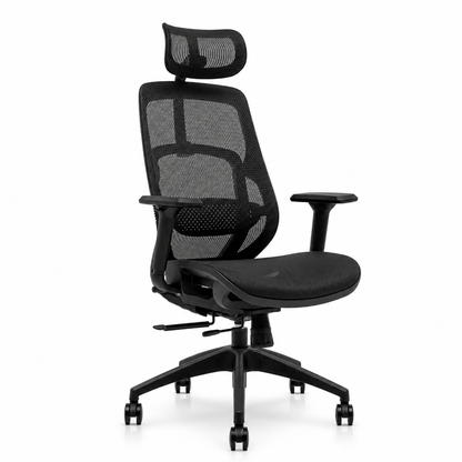 NTT 237(B) Ergonomic Mech Office Chair