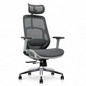 NTT 237(G) Ergonomic Mech Office Chair