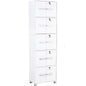 NAOMI 10 Door Storage Box With Lock - White