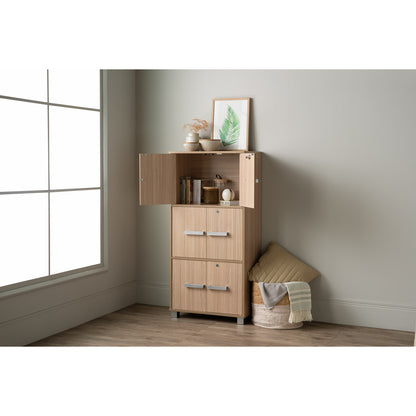 NAOMI 6 Door Storage Box With Lock - Ebonnese