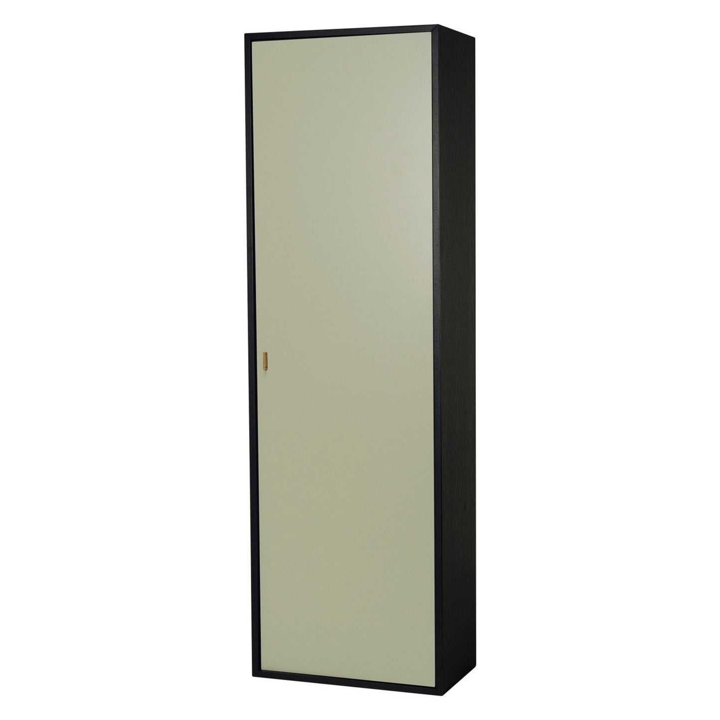 TARBER Shoe Cabinet - Charcoal Grey Frame, Dark Green Door