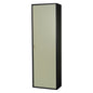 TARBER Shoe Cabinet - Charcoal Grey Frame, Dark Green Door