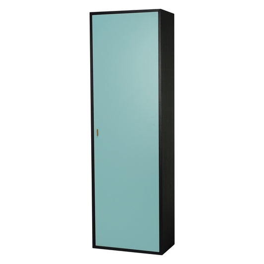 TARBER Shoe Cabinet - Charcoal Grey Frame, Light Green Door
