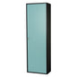 TARBER Shoe Cabinet - Charcoal Grey Frame, Light Green Door